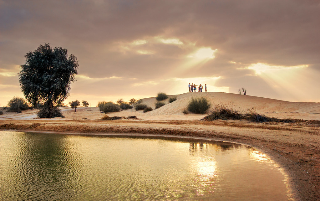Al Qudra Lake desert oasis photoshoot spot in Dubai.